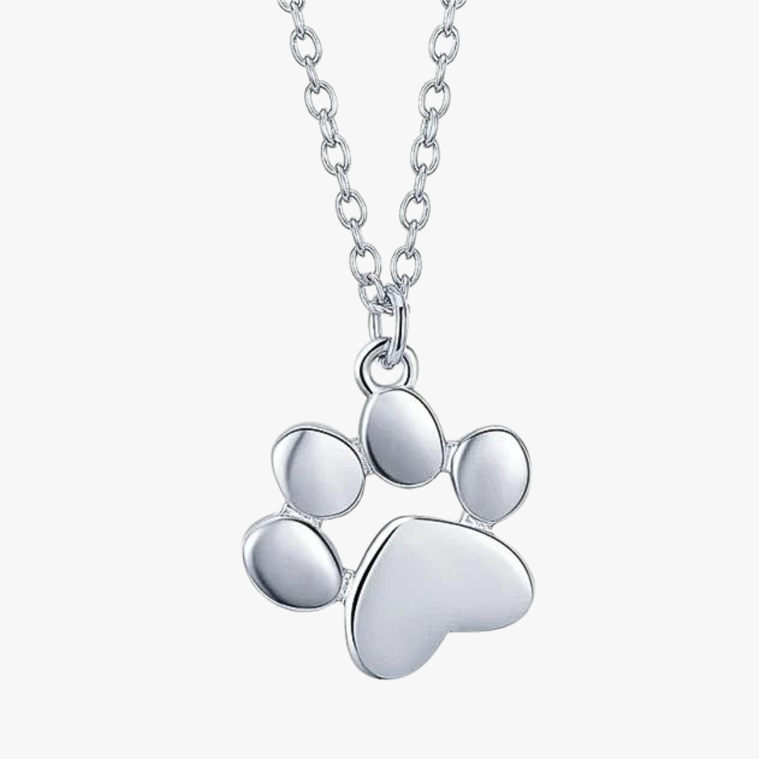 Collar de Plata 925 - Pata