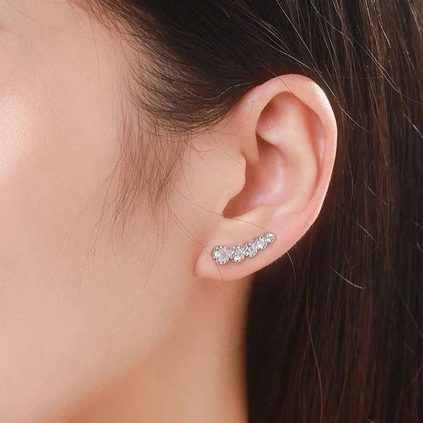 Aretes de Plata 925 - Wings